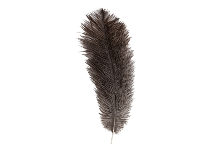 Picture of Deco ostrich feathers