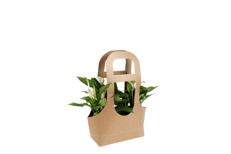 Picture of Plant paper bag