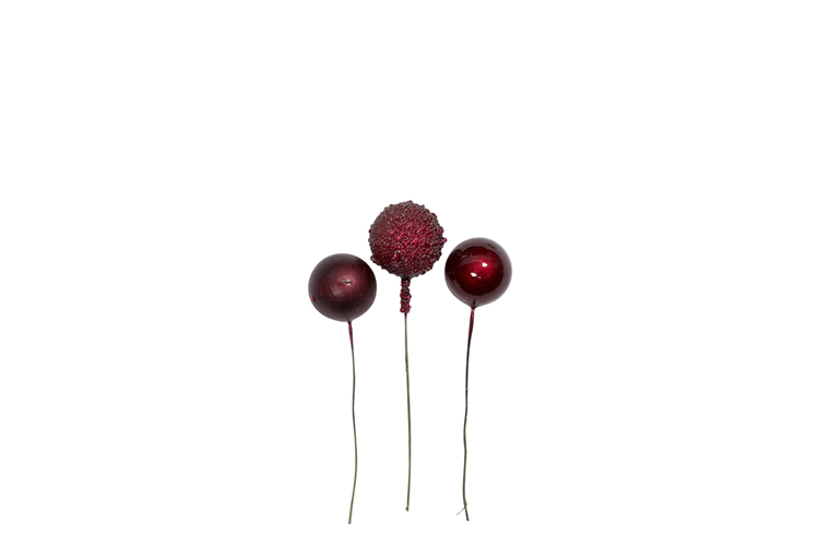 Picture of Wire berries