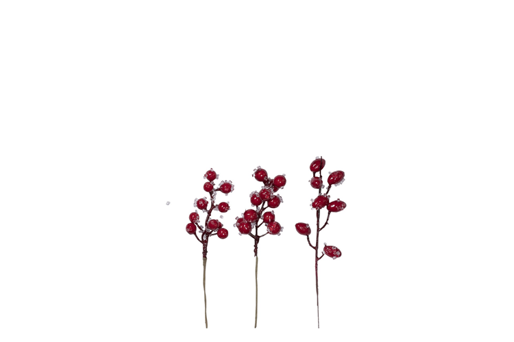 Picture of Wire berries