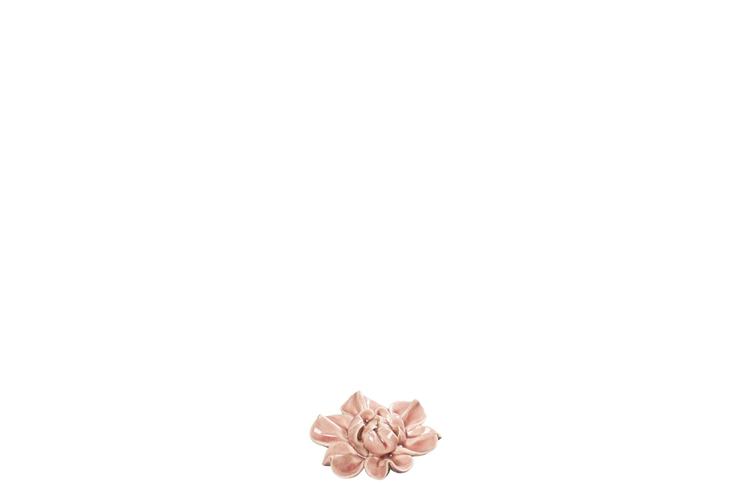 Bild på Juno blomma