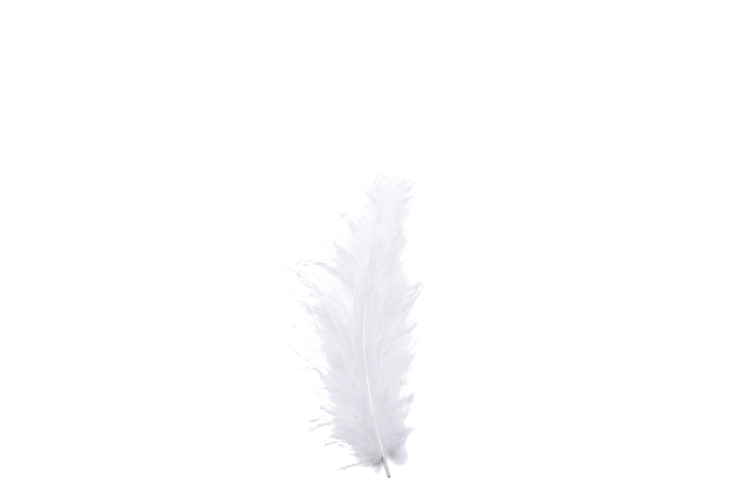 Picture of Deco feathers