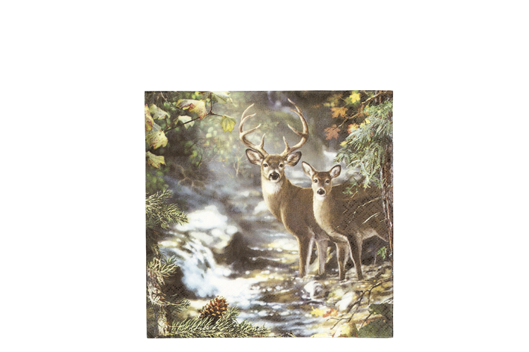 Billede af Deers servietter