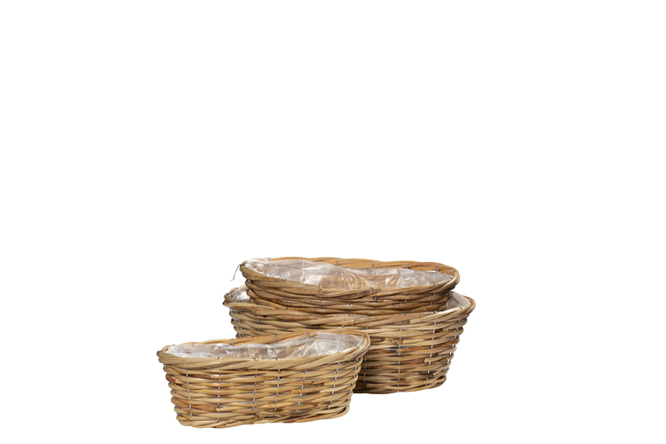 Picture of Alexia oval basket