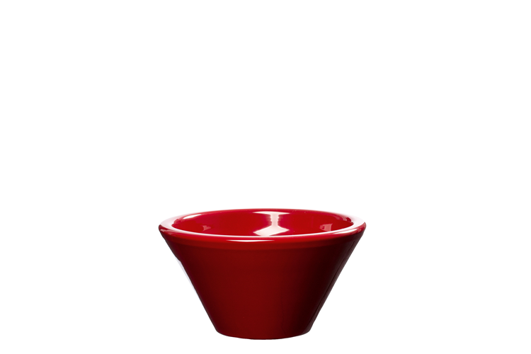 Picture of Debate bowl