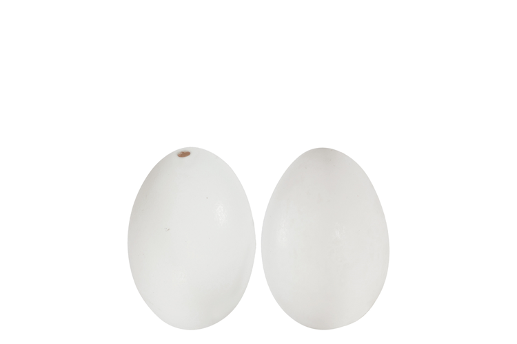 Billede af Deco and egg