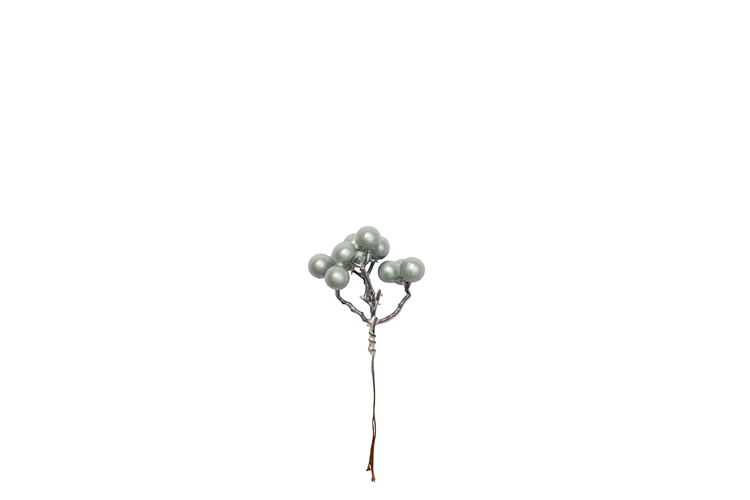Picture of Deco Berry on a wire