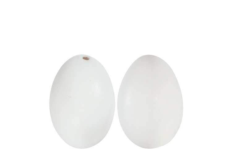 Picture of Deco goose eggs