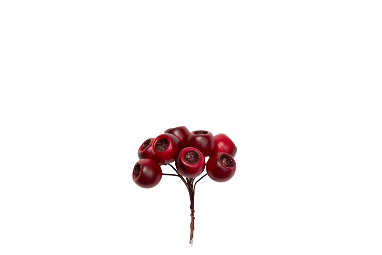 Picture of Deco rose hip on a wire