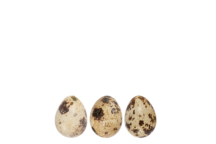 Picture of Deco quail eggs