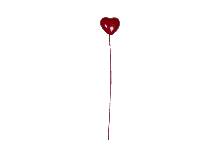 Picture of Heart on a stick