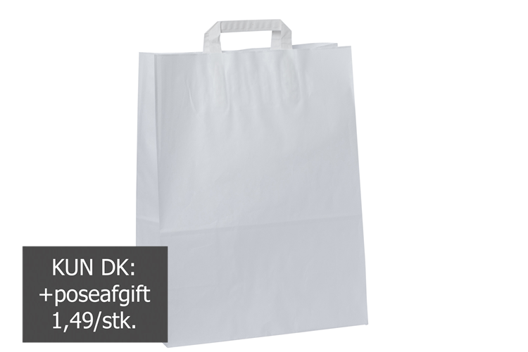 Picture of White paper bag