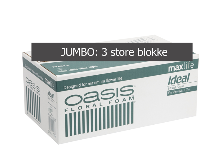 Bild på OASIS® Ideal Jumbo block