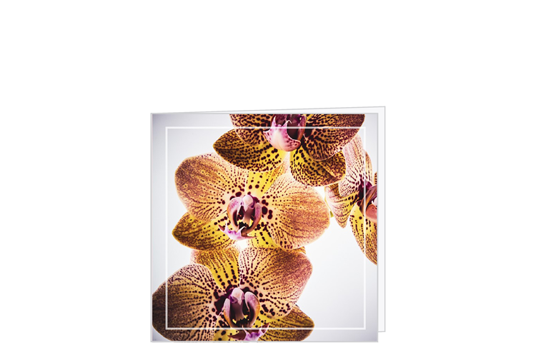Picture of Orchid card