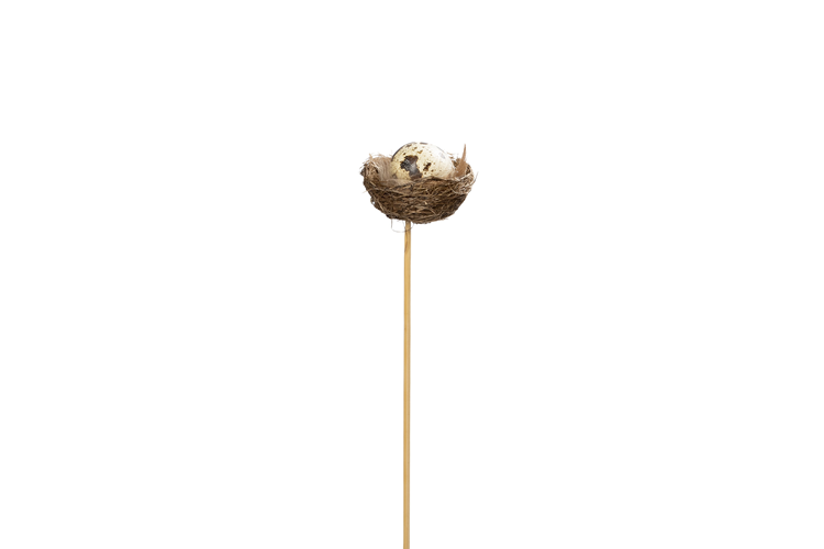 Picture of Nest w/egg on a stick