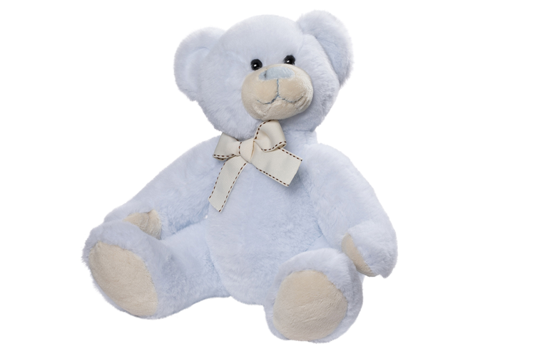 Picture of Teddy Teddy bear
