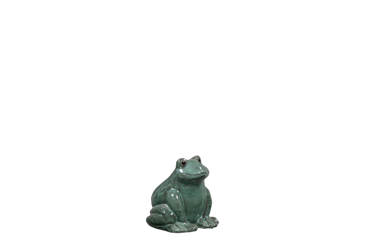 Picture of Tia frog