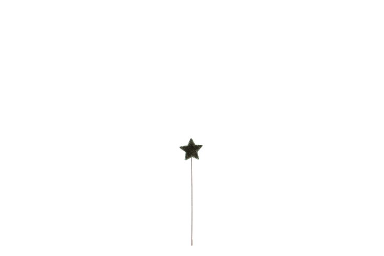 Billede af Velour stjerne på tråd