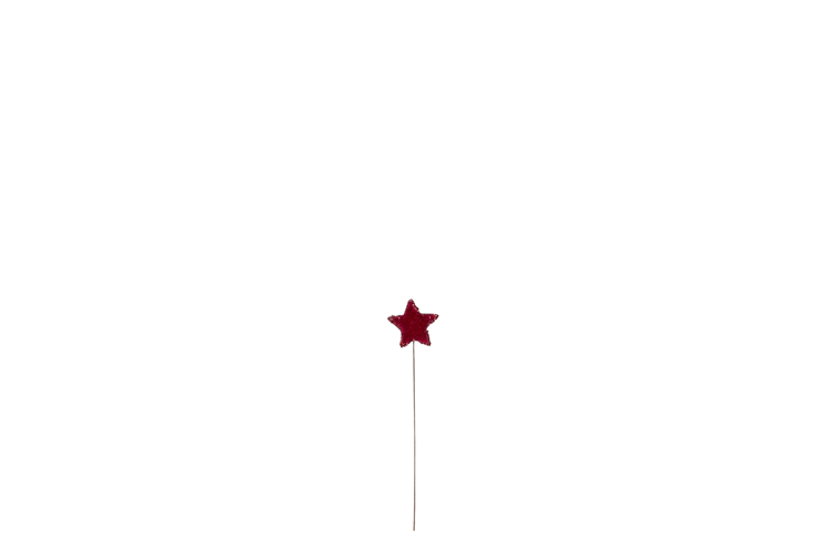Picture of Velour star on a wire