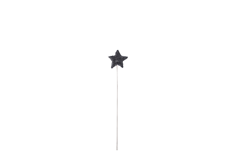 Bild på Velour stjärna på tråd