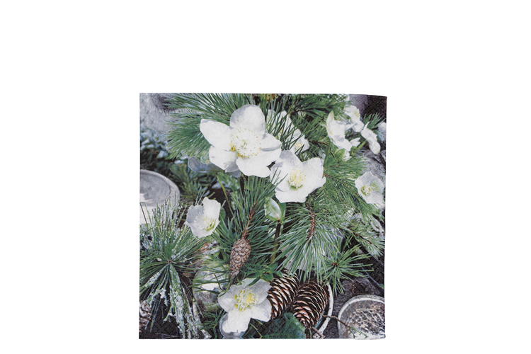 Picture of Winter Rose napkin