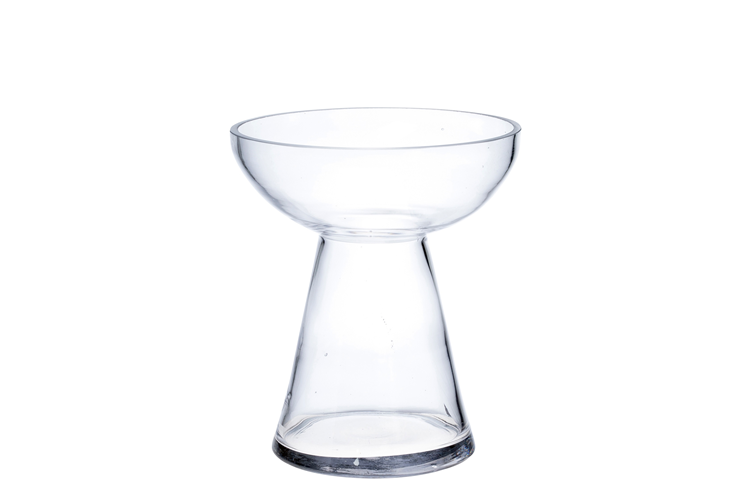 Picture of Amaryllis glass vase