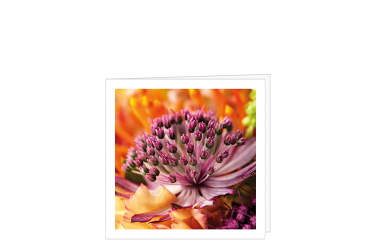 Picture of Flower card