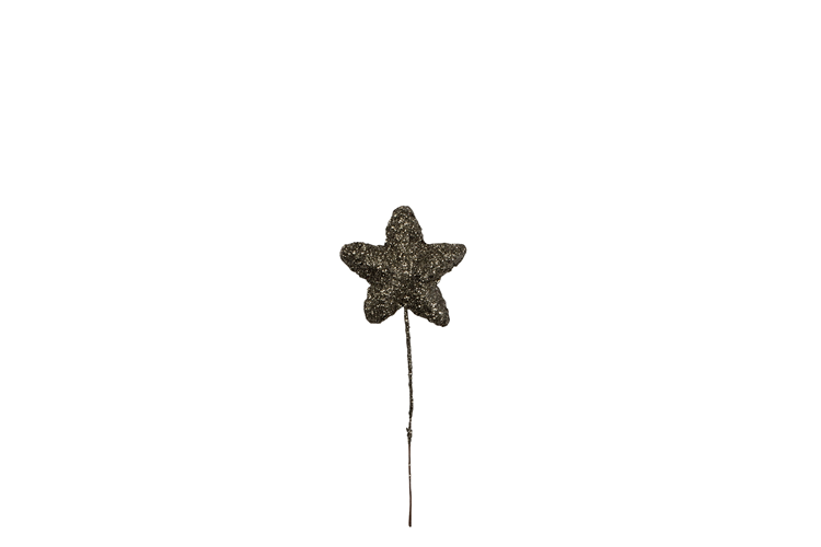 Picture of Glitter star on a wire