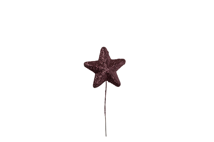 Picture of Glitter star on a wire