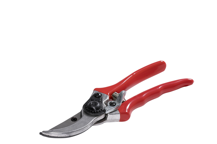 Picture of Secateurs