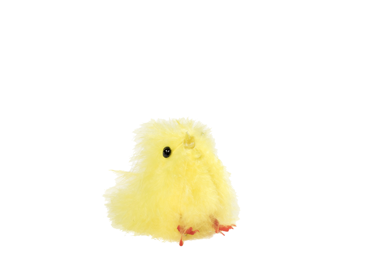 Bild på kyckling