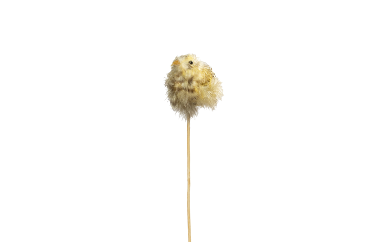 Picture of Chicken on a stick