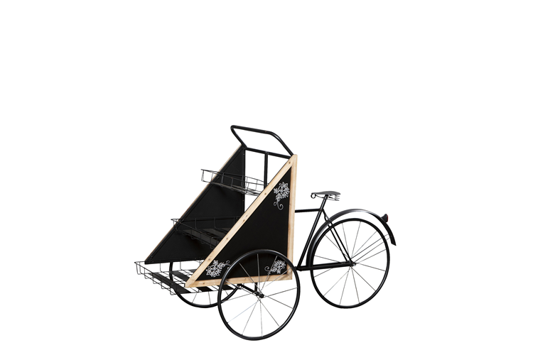 Picture of Melina bicycle w/wagon and board