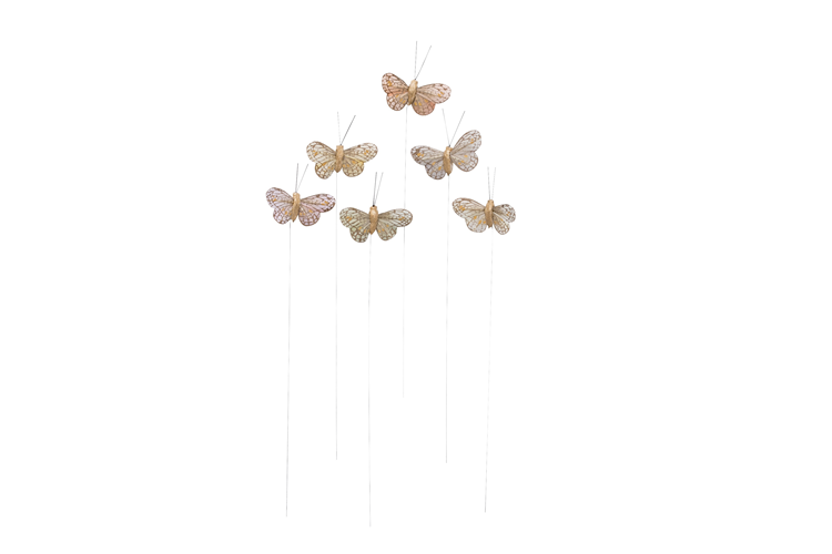 Picture of Butterfly on a wire
