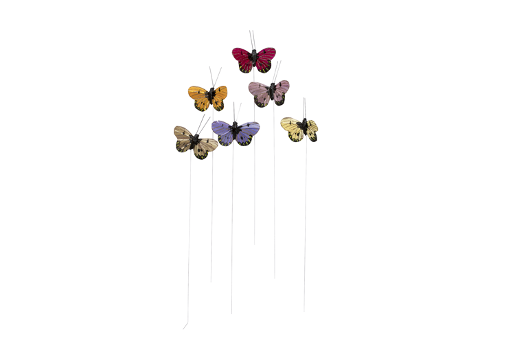 Picture of Butterfly on a wire