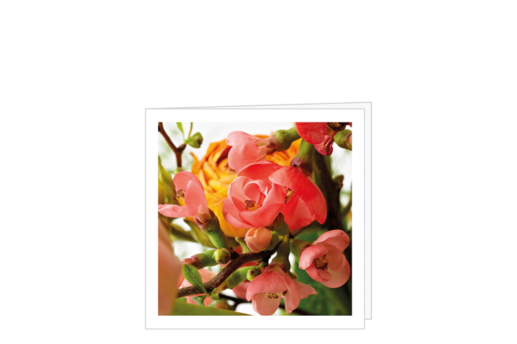 Picture of Spring card