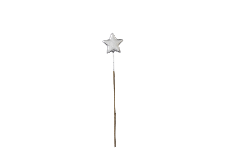 Picture of Star on a wire