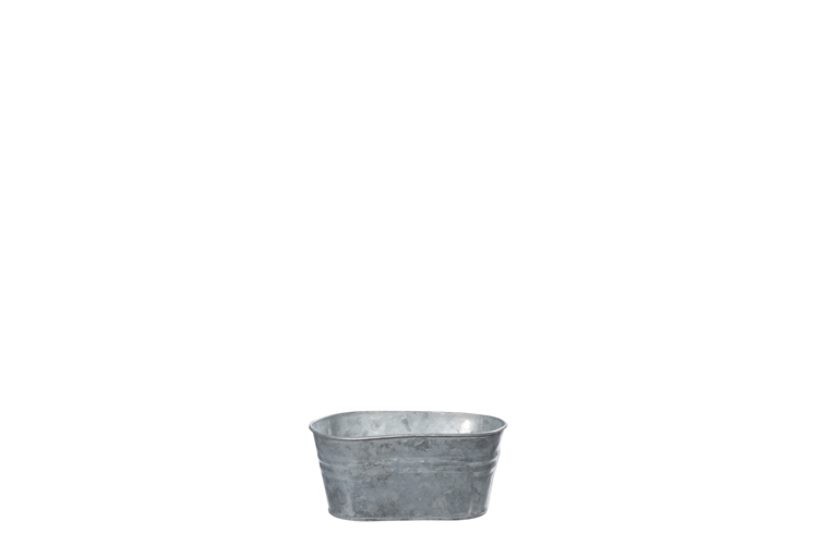Picture of Zinc oval pot