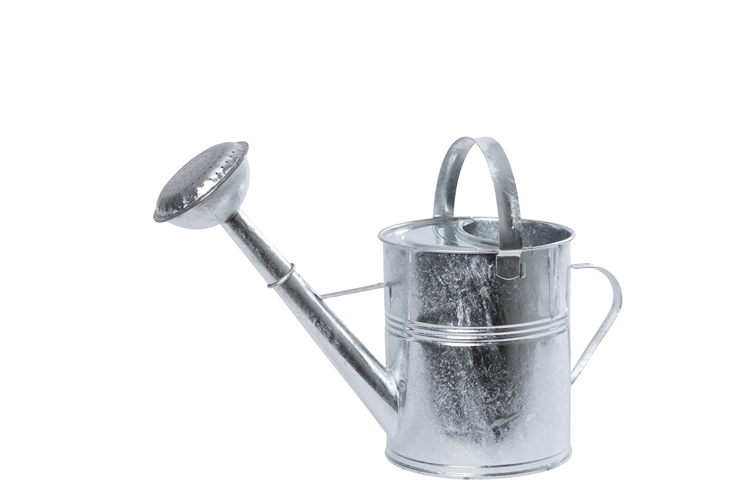 Picture of Zinc watering can
