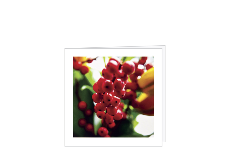 Picture of Berry card