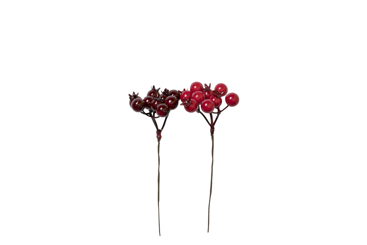 Picture of Berry on a wire