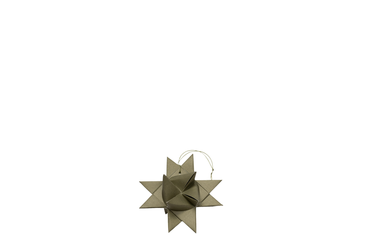 Picture of Carmen paper star