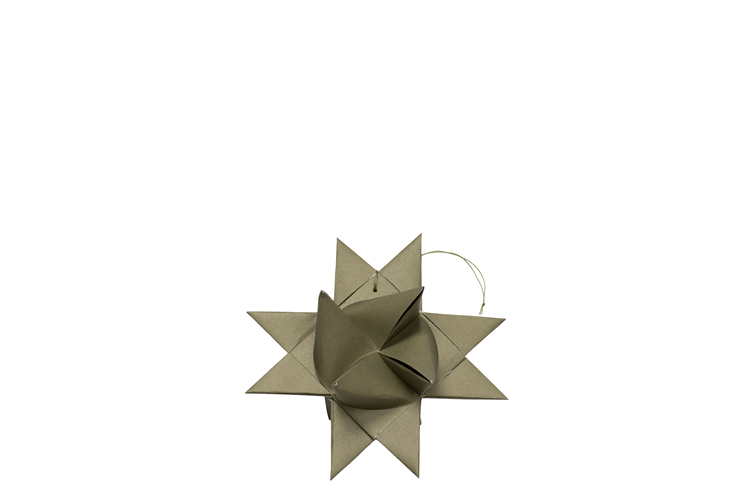 Picture of Carmen paper star
