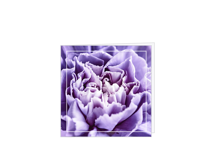 Picture of Carnation card