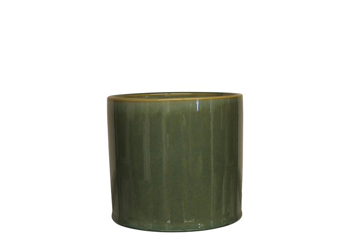 Picture of Bellis cylinder pot