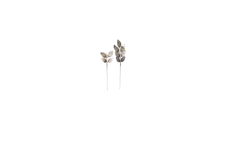 Picture of Leaves on a wire