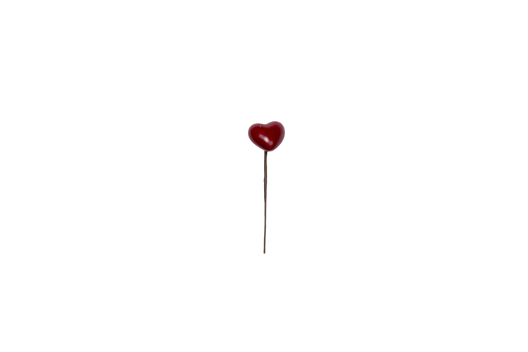Picture of Heart on a wire