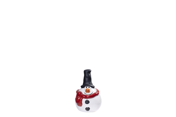 Picture of Mark snowman